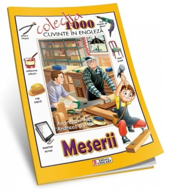 1000 de cuvinte in engleza - Meserii