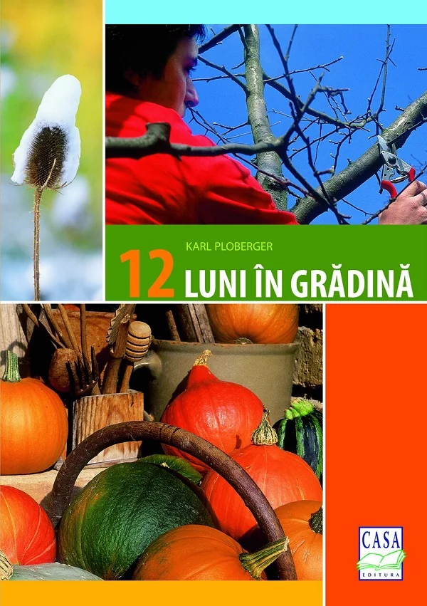 12 luni in gradina