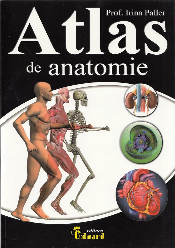 Atlas de anatomie