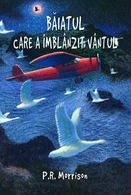 Baiatul care a imblanzit vantul l