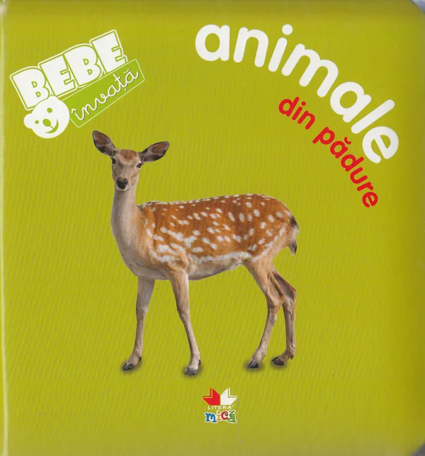Bebe invata - Animale din padure