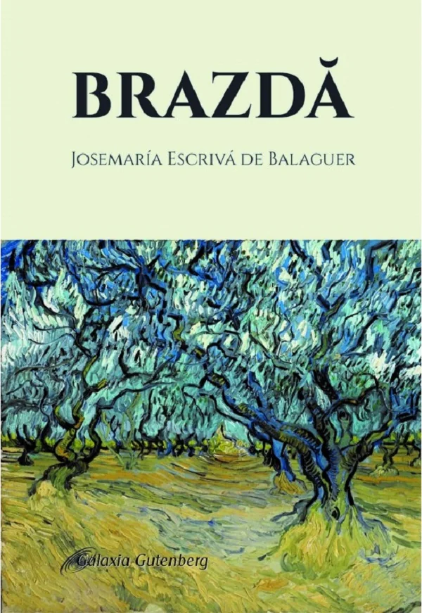 Brazda