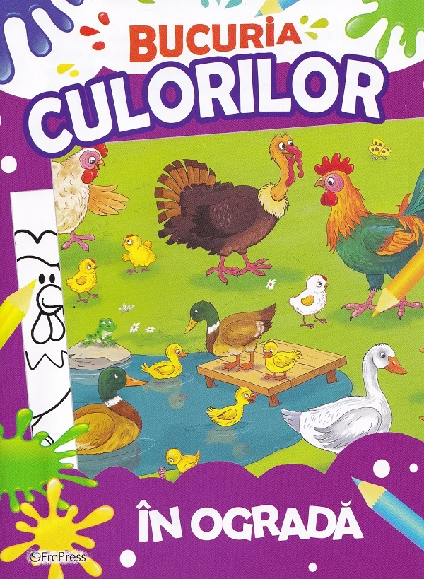 Bucuria culorilor. In ograda