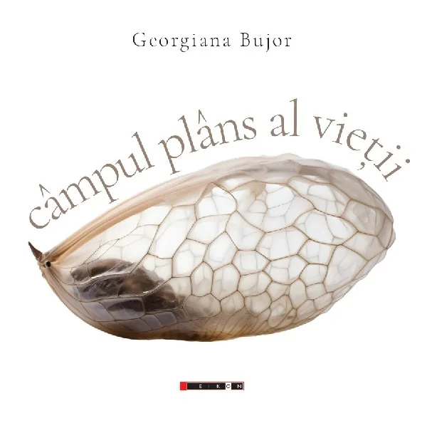 Campul plans al vietii