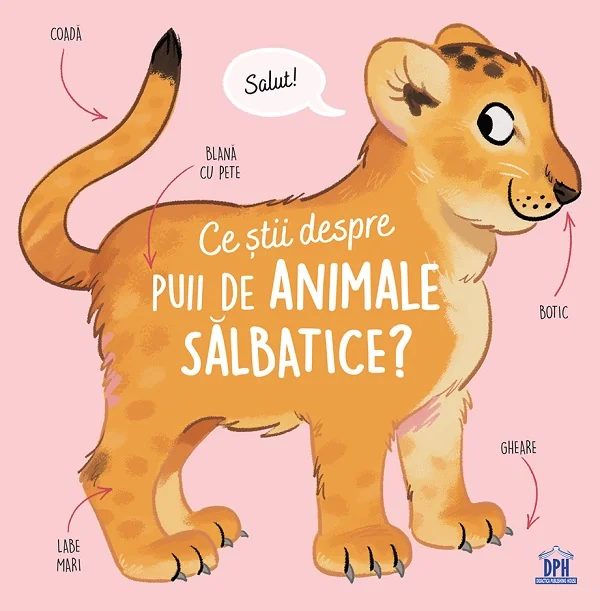 Ce stii despre puii de animale salbatice?