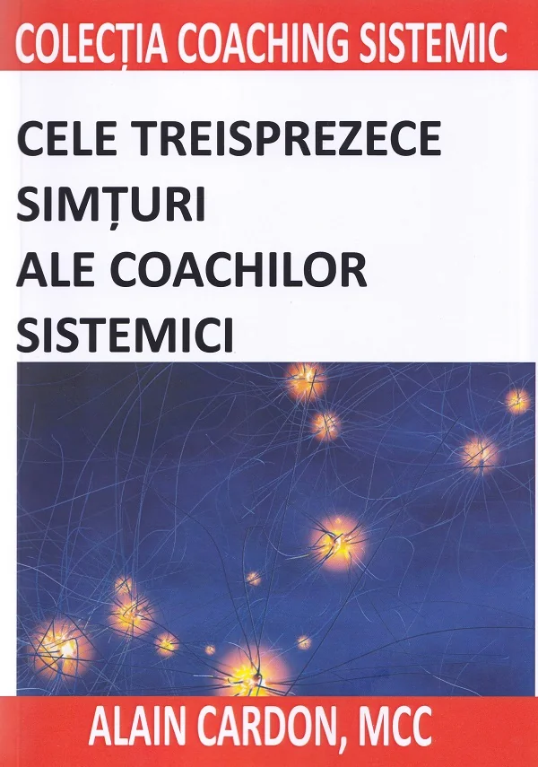 Cele treisprezece simturi ale coachilor sistemici