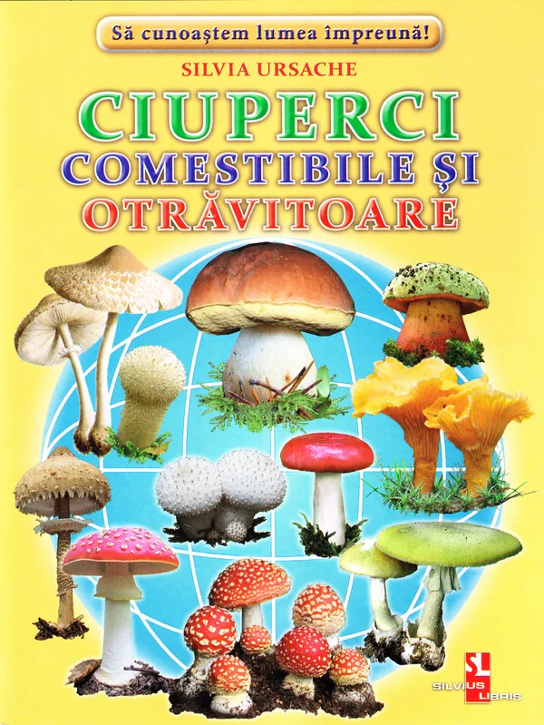 Ciuperci comestibile si otravitoare - Cartonase