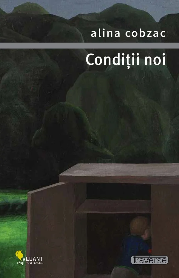 Conditii noi