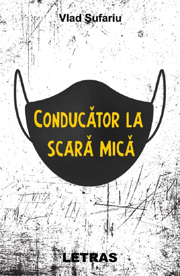 Conducator la scara mica