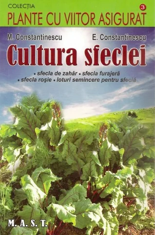 Cultura sfeclei
