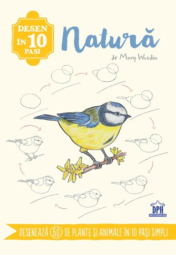 Desen in 10 pasi: Natura