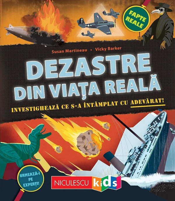Dezastre din viata reala