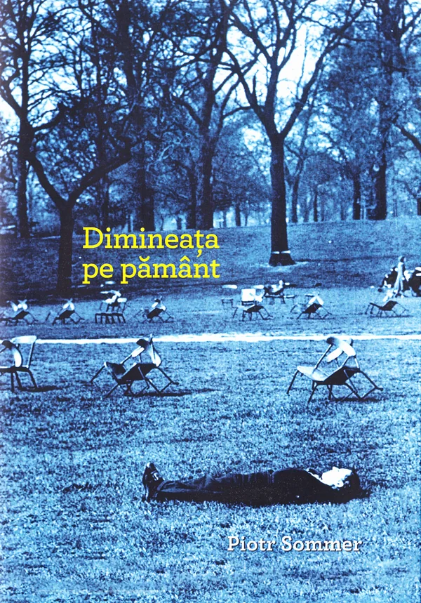 Dimineata pe pamant