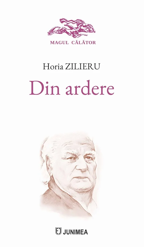 Din ardere