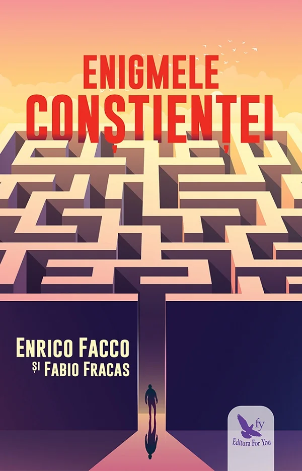 Enigmele constientei