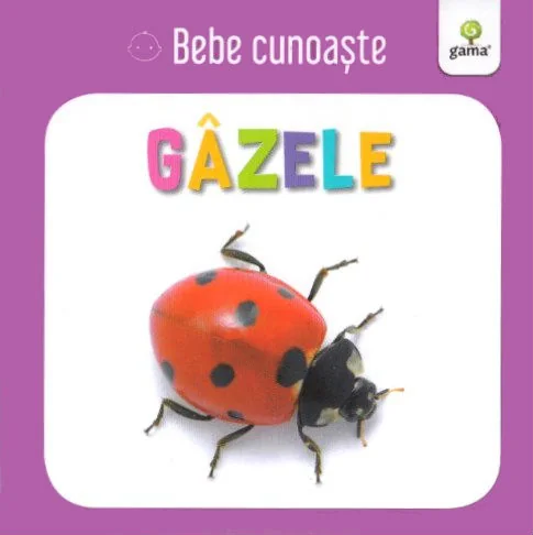 Gazele - Bebe cunoaste