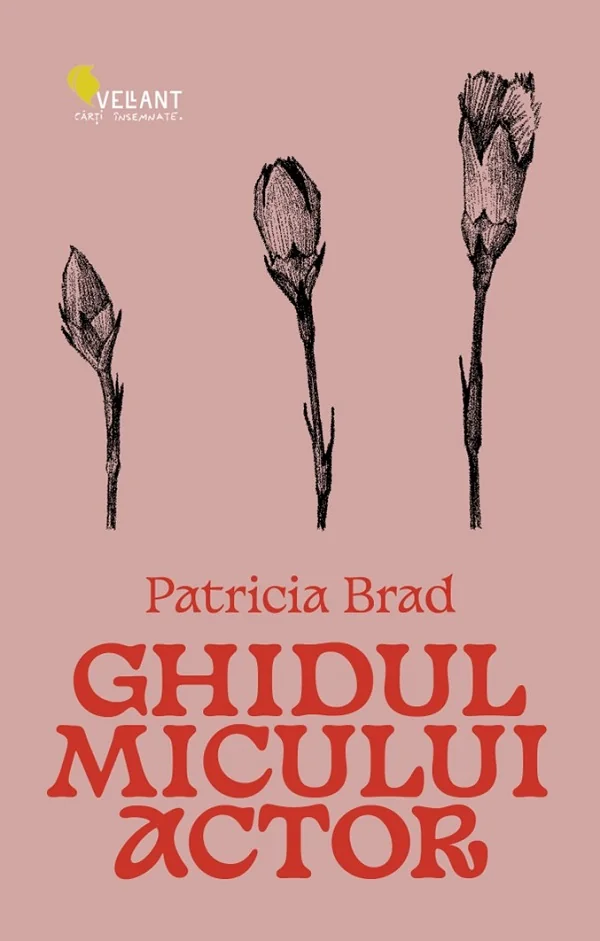Ghidul micului actor