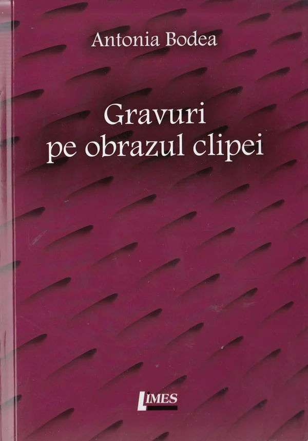 Gravuri pe pbrazul clipei