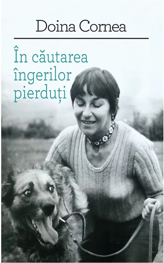 In cautarea ingerilor pierduti