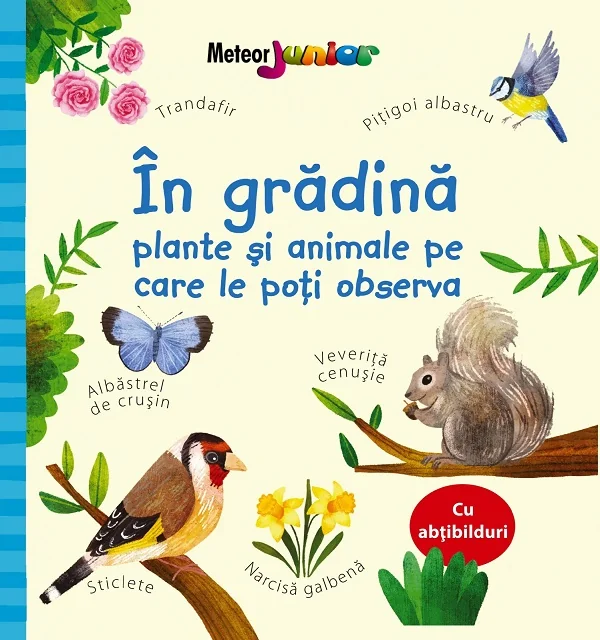 In gradina. Plante si animale pe care le poti observa