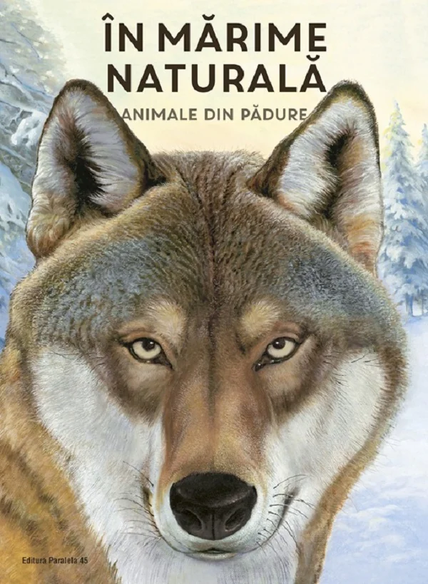 In marime naturala. Animale din padure