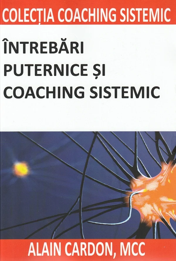 Intrebari puternice si coaching sistemic