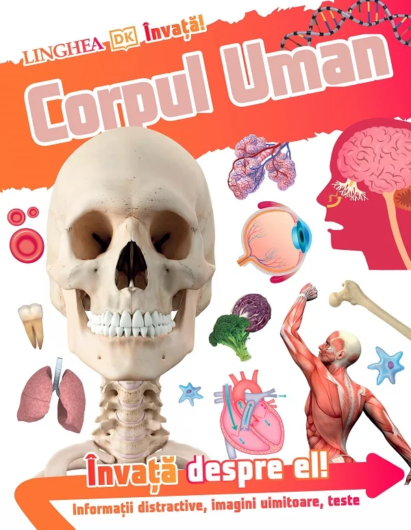Invata! Corpul uman