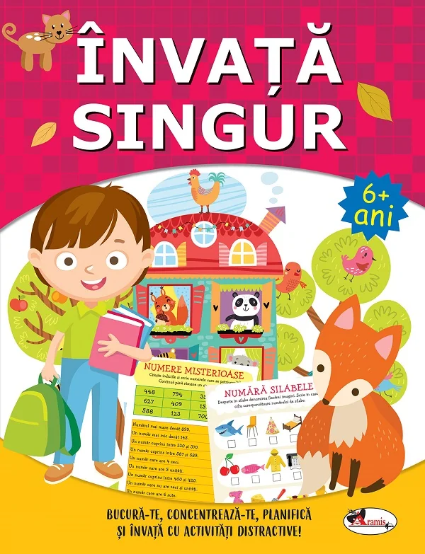 Invata singur 6 ani+