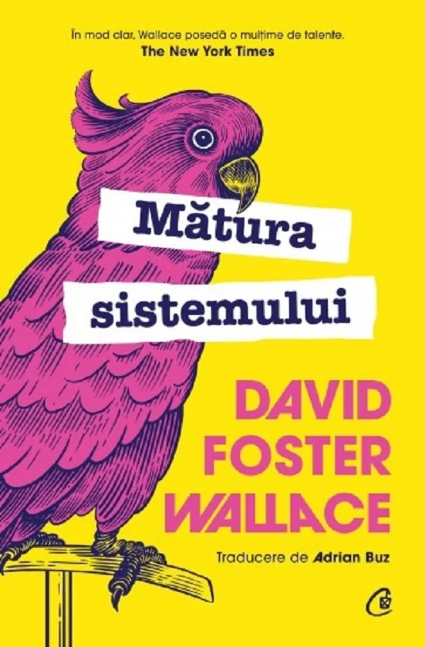 Matura sistemului