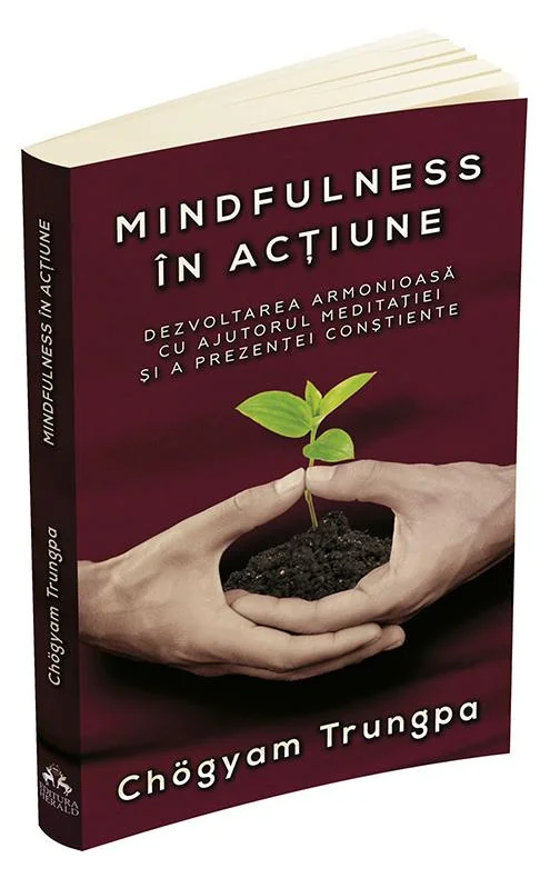 Mindfulness in actiune
