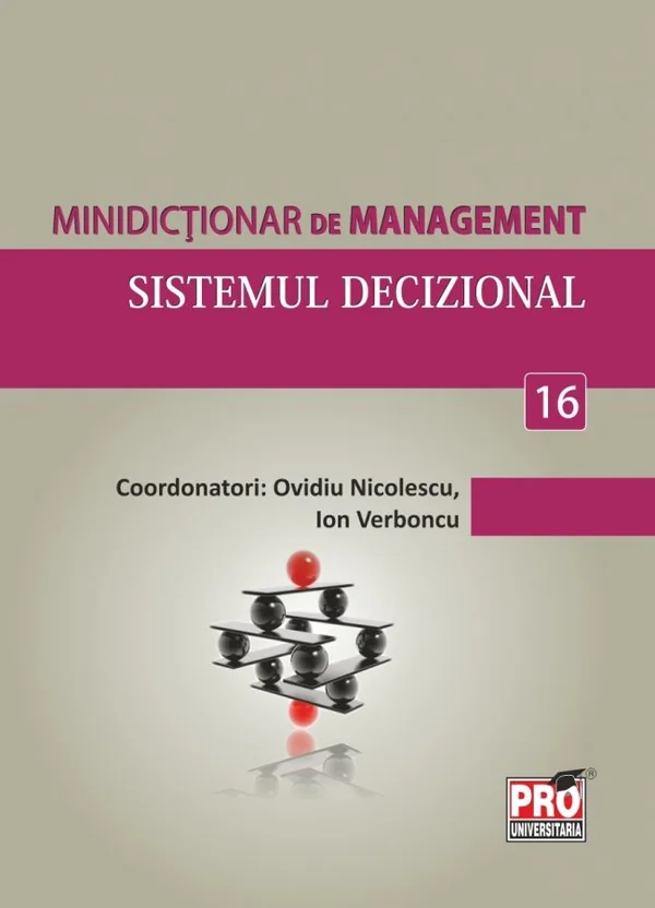 Minidictionar de management 16: Sistemul decizional