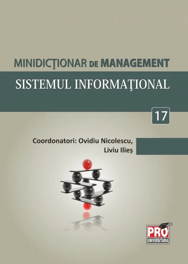 Minidictionar de management 17: Sistemul informational