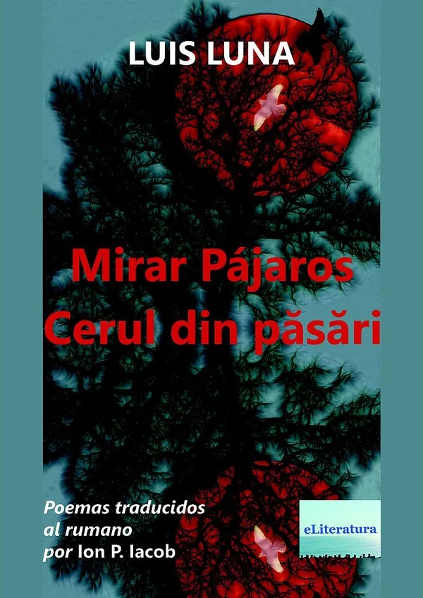 Mirar pajaros. Cerul din pasari