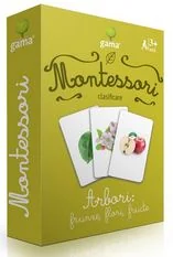 Montessori. Asocieri: Arbori: frunze, flori, fructe