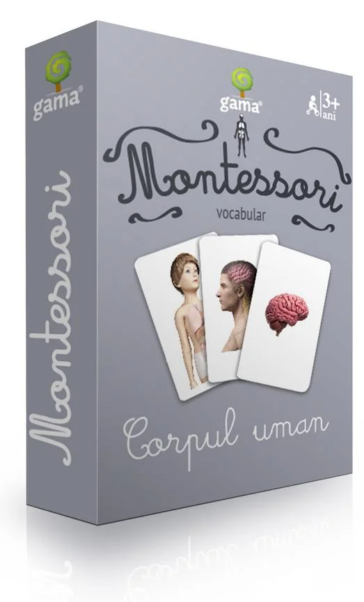 Montessori. Vocabular: Corpul uman