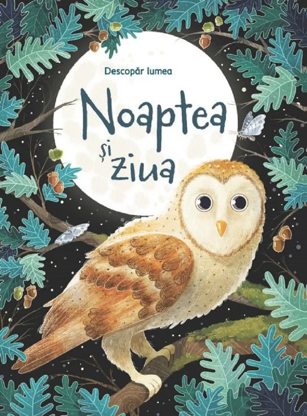 Noaptea si ziua. Descopar lumea