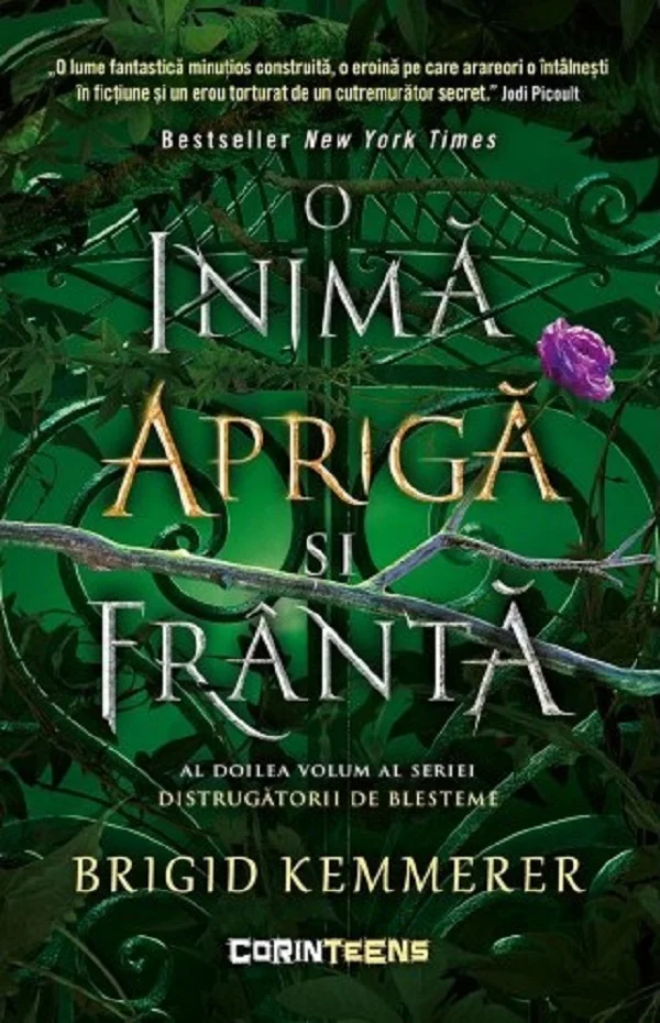 O inima apriga si franta. Seria Distrugatorii de blesteme Vol.2