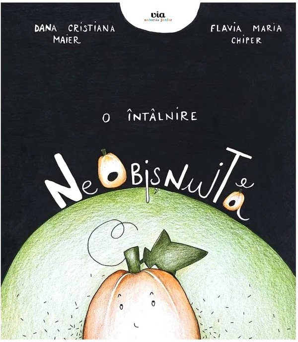 O intalnire neobisnuita - Dana Cristiana Maier, Flavia Maria Chiper