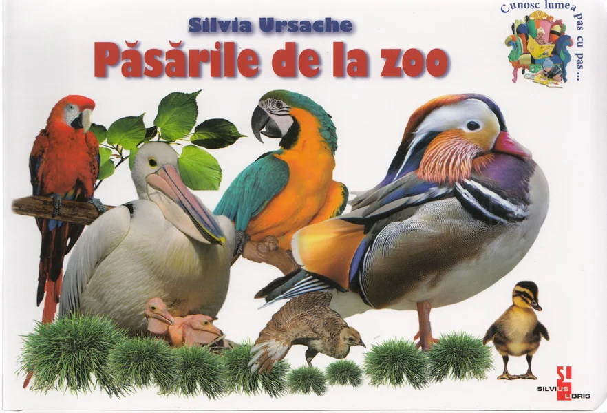 Pasarile de la zoo