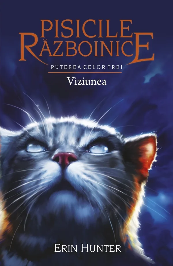 Pisicile Razboinice Vol.13: Puterea celor trei. Viziunea