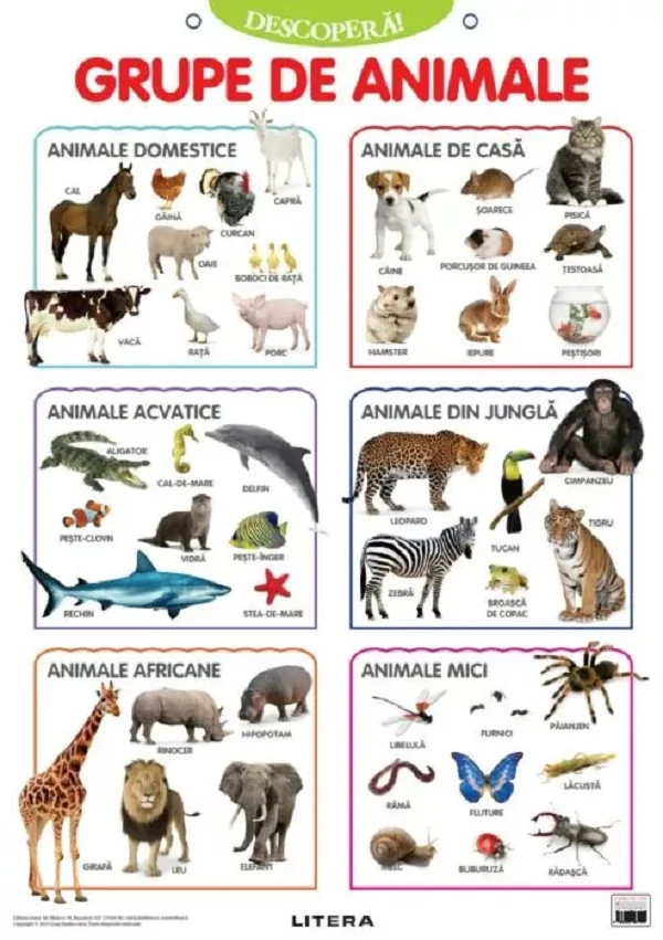 Plansa: Descopera! Grupe de animale