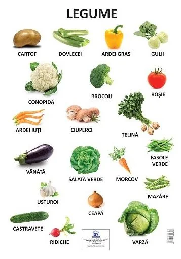 Plansa. Legume