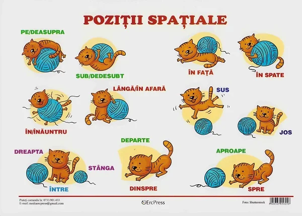 Plansa. Pozitii spatiale