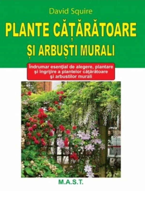 Plante cataratoare si arbusti murali