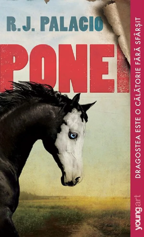Ponei