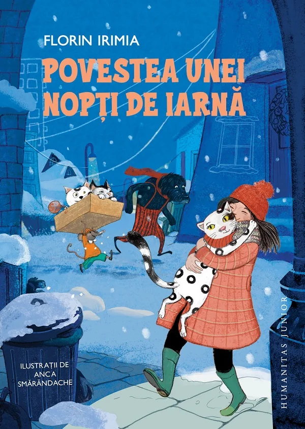 Povestea unei nopti de iarna