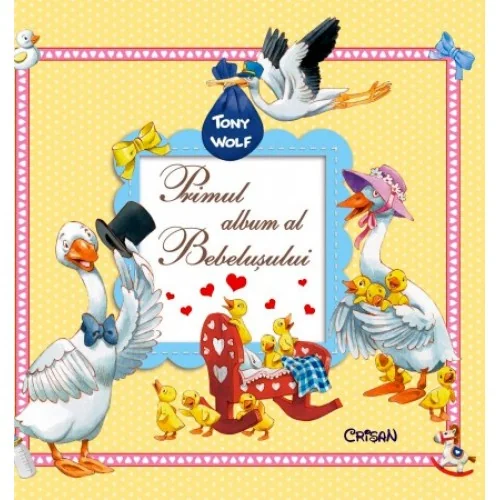 Primul Album Al Bebelusului