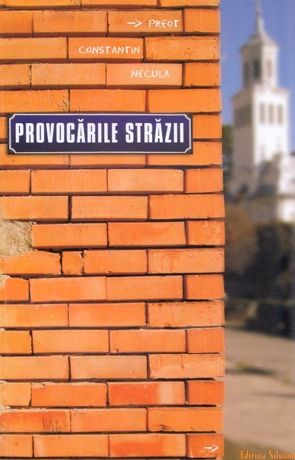 Provocarile strazii - Constantin Necula