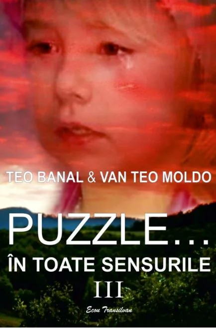 Puzzle... in toate sensurile Vol. 3 - Teo Banal, Van Teo Moldo