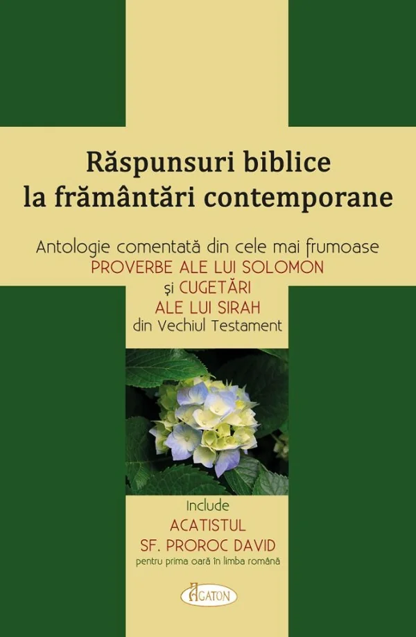 Raspunsuri biblice la framantari contemporane